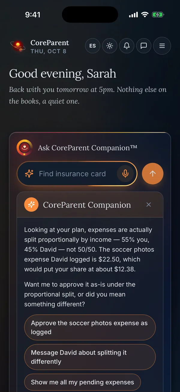 Companion on iPhone checking the parenting plan before splitting a soccer expense